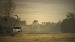 Abstract nature Desktopography