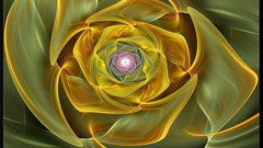 Abstract nature Flowers