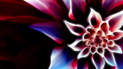 Abstract nature Flowers Fractalius