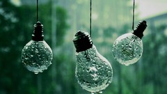 Abstract nature light bulbs