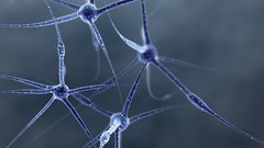 Abstract neurons