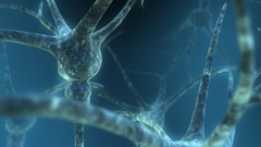 Abstract neurons digital art