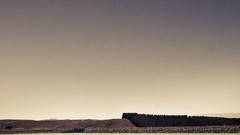 Abstract New Zealand