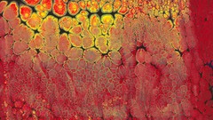 Abstract paintings artwork traditional art