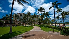 Abstract palm trees resort