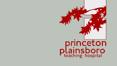 Abstract princeton plainsboro