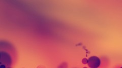 Abstract purple bokeh