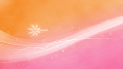 Abstract red pink orange