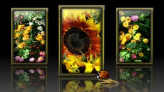 Abstract reflections