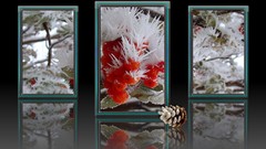 Abstract reflections