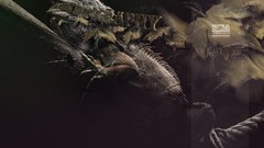 Abstract Reptiles Desktopography