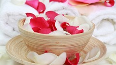 Abstract roses flower petals