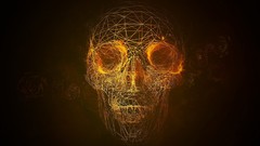 Abstract roses lines skulls artwork