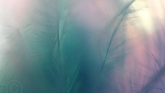 Abstract skin pastel