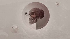 Abstract skulls crows minimalistic