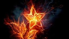 Abstract Stars fire black