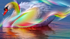 Abstract Swans colors