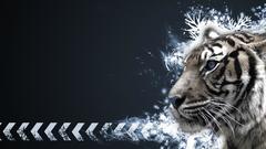 Abstract Tigers