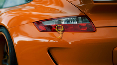 Abstract Trees lights Flowers