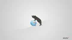 Abstract ubuntu fish feline