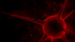 Abstract virus blood