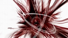 Abstract white background colors artwork