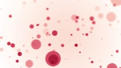 Abstract white background dots