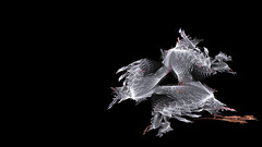 Abstract wolf samurai