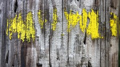Abstract yellow paint wood