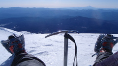 Accidently posted in wrong