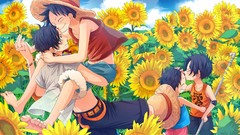 Ace monkey d luffy One Piece (anime)