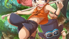 Ace monkey d luffy One Piece (anime)