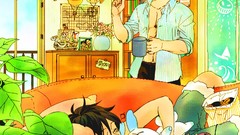 Ace monkey d luffy One Piece (anime)