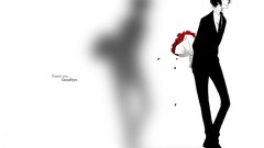 Ace One Piece (anime)