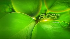 Acer
