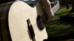 Acoustic guitars guitars