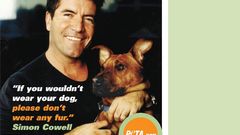 Actor simon cowell Men