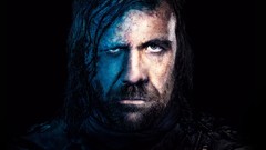 Actors faces game of thrones TV series hbo rory mccann sandor 