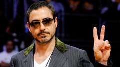 Actors robert downey jr