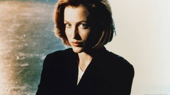 Actress Gillian Anderson dana