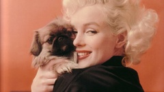 Actress Marilyn Monroe