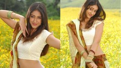 Actress models indian girls Ileana Tollywood Ileana D'Cruz 