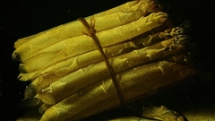 Adriaen coorte still Life