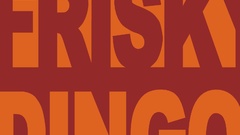 Adult swim Frisky Dingo