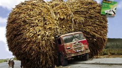 Advertisement artwork