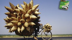 Advertisement artwork