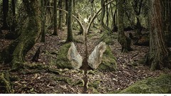 Advertisement artwork Viral