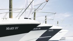 Advertisement artwork Viral