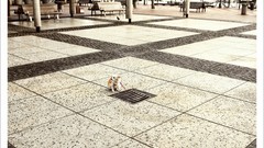 Advertisement artwork Viral