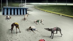 Advertisement artwork Viral